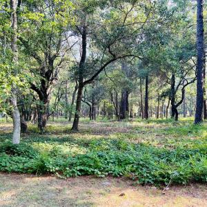 Photo #3 of 834 Blue Gill, Bolivia, NC 0.5 acres