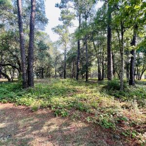 Photo #2 of 834 Blue Gill, Bolivia, NC 0.5 acres