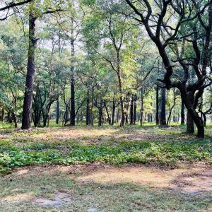 Photo #1 of 834 Blue Gill, Bolivia, NC 0.5 acres