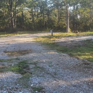 Photo #6 of 1123 Straits, Smyrna, NC 6.1 acres