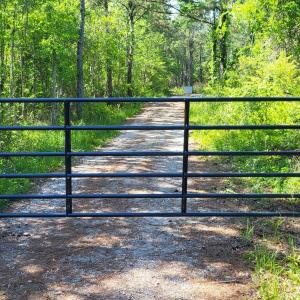 Photo #4 of 1123 Straits, Smyrna, NC 6.1 acres