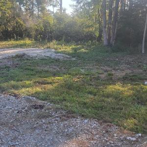 Photo #5 of 1123 Straits, Smyrna, NC 6.1 acres