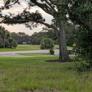 Photo #6 of 75 Yaupon, Oak Island, NC 0.4 acres