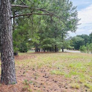 Photo #3 of 740 Broken Ridge, West End, NC 4.0 acres