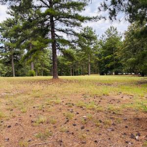 Photo #4 of 740 Broken Ridge, West End, NC 4.0 acres
