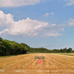 Photo #1 of 204 Whitemon, Edenton, NC 3.9 acres