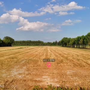 Photo #1 of 204 Whitemon, Edenton, NC 4.3 acres