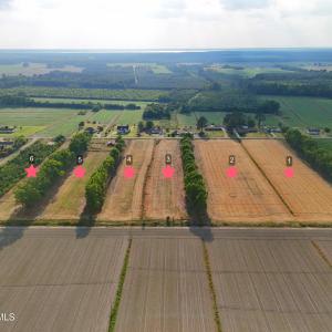 Photo #5 of 204 Whitemon, Edenton, NC 2.0 acres