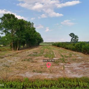 Photo #4 of 204 Whitemon, Edenton, NC 2.0 acres