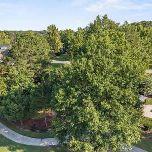 Photo #8 of 160 Firefly, Wallace, NC 0.5 acres
