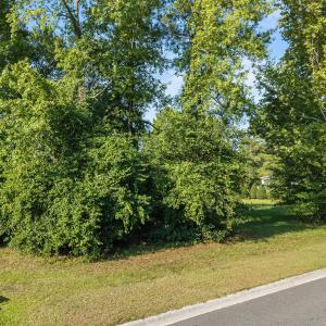 Photo #6 of 160 Firefly, Wallace, NC 0.5 acres