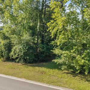 Photo #4 of 160 Firefly, Wallace, NC 0.5 acres