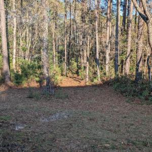 Photo #2 of 314 Livingston, Holly Ridge, NC 4.3 acres