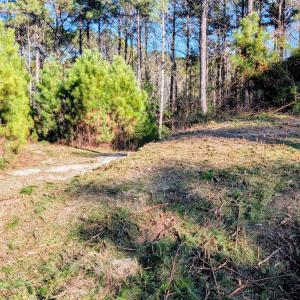 Photo #3 of 314 Livingston, Holly Ridge, NC 4.3 acres
