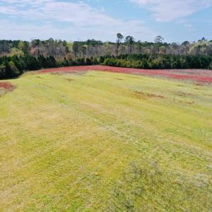 Photo #8 of Fisher Town, Havelock, NC 15.4 acres