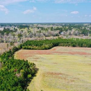 Photo #13 of Fisher Town, Havelock, NC 15.4 acres