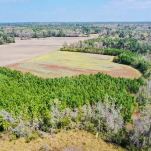 Photo #7 of Fisher Town, Havelock, NC 15.4 acres
