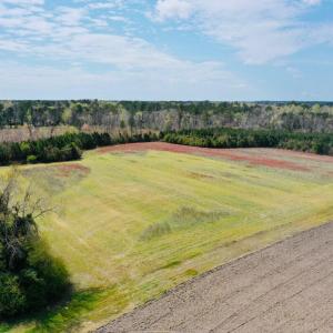 Photo #3 of Fisher Town, Havelock, NC 15.4 acres