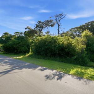 Photo #16 of 110 68th, Oak Island, NC 0.2 acres