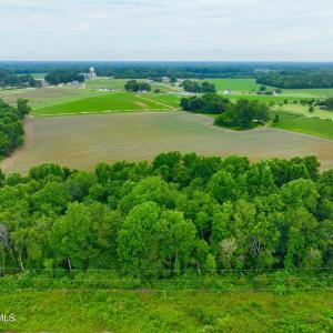 Photo #10 of 478 Davis Mill, Fremont, NC 73.4 acres