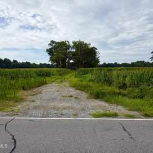 Photo #6 of 478 Davis Mill, Fremont, NC 73.4 acres