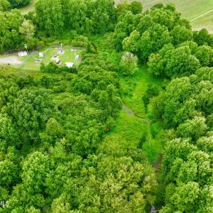 Photo #12 of 478 Davis Mill, Fremont, NC 73.4 acres