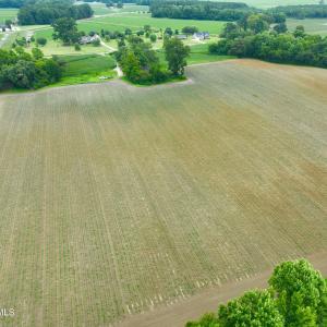 Photo #14 of 478 Davis Mill, Fremont, NC 73.4 acres