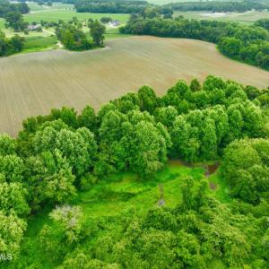 Photo #13 of 478 Davis Mill, Fremont, NC 73.4 acres