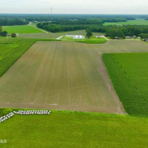 Photo #9 of 478 Davis Mill, Fremont, NC 73.4 acres