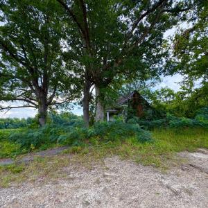 Photo #20 of 478 Davis Mill, Fremont, NC 73.4 acres