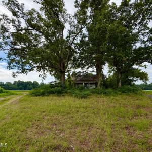 Photo #21 of 478 Davis Mill, Fremont, NC 73.4 acres
