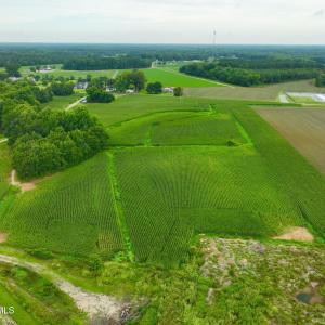 Photo #7 of 478 Davis Mill, Fremont, NC 73.4 acres