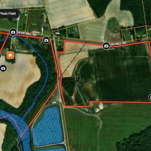 Photo #4 of 478 Davis Mill, Fremont, NC 73.4 acres