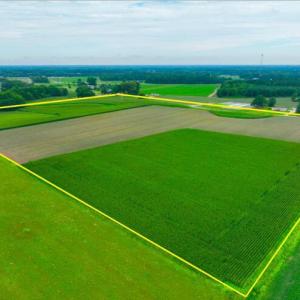 Photo #2 of 478 Davis Mill, Fremont, NC 73.4 acres