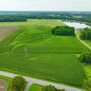 Photo #5 of 478 Davis Mill, Fremont, NC 73.4 acres