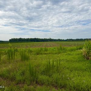 Photo #16 of 478 Davis Mill, Fremont, NC 73.4 acres