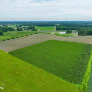 Photo #11 of 478 Davis Mill, Fremont, NC 73.4 acres