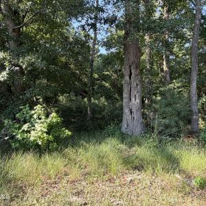 Photo #24 of 165 Ike Frederick, Kenansville, NC 2.0 acres