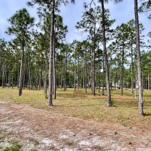 Photo #9 of 6808 Beckman, Ocean Isle Beach, NC 0.3 acres
