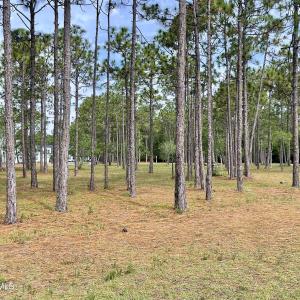 Photo #7 of 6806 Beckman, Ocean Isle Beach, NC 0.3 acres