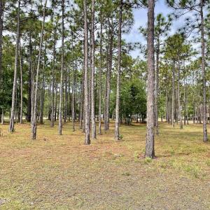 Photo #6 of 6806 Beckman, Ocean Isle Beach, NC 0.3 acres