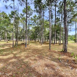 Photo #4 of 6804 Beckman, Ocean Isle Beach, NC 0.3 acres