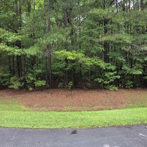 Photo #2 of Lot 53 Cleveland, Hertford, NC 4.2 acres