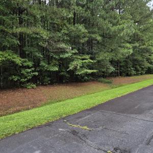 Photo #4 of Lot 53 Cleveland, Hertford, NC 4.2 acres
