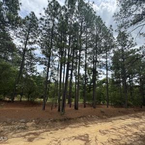 Photo #2 of Lizzie Jeter, Cameron, NC 5.7 acres