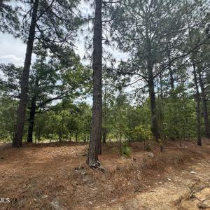 Photo #4 of Lizzie Jeter, Cameron, NC 5.7 acres