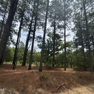 Photo #7 of Lizzie Jeter, Cameron, NC 5.7 acres