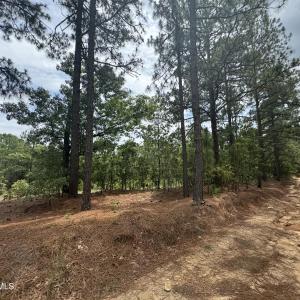 Photo #6 of Lizzie Jeter, Cameron, NC 5.7 acres