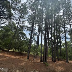 Photo #8 of Lizzie Jeter, Cameron, NC 5.7 acres