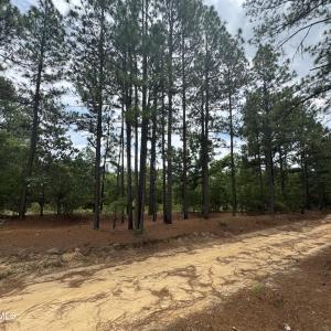 Photo #1 of Lizzie Jeter, Cameron, NC 5.7 acres